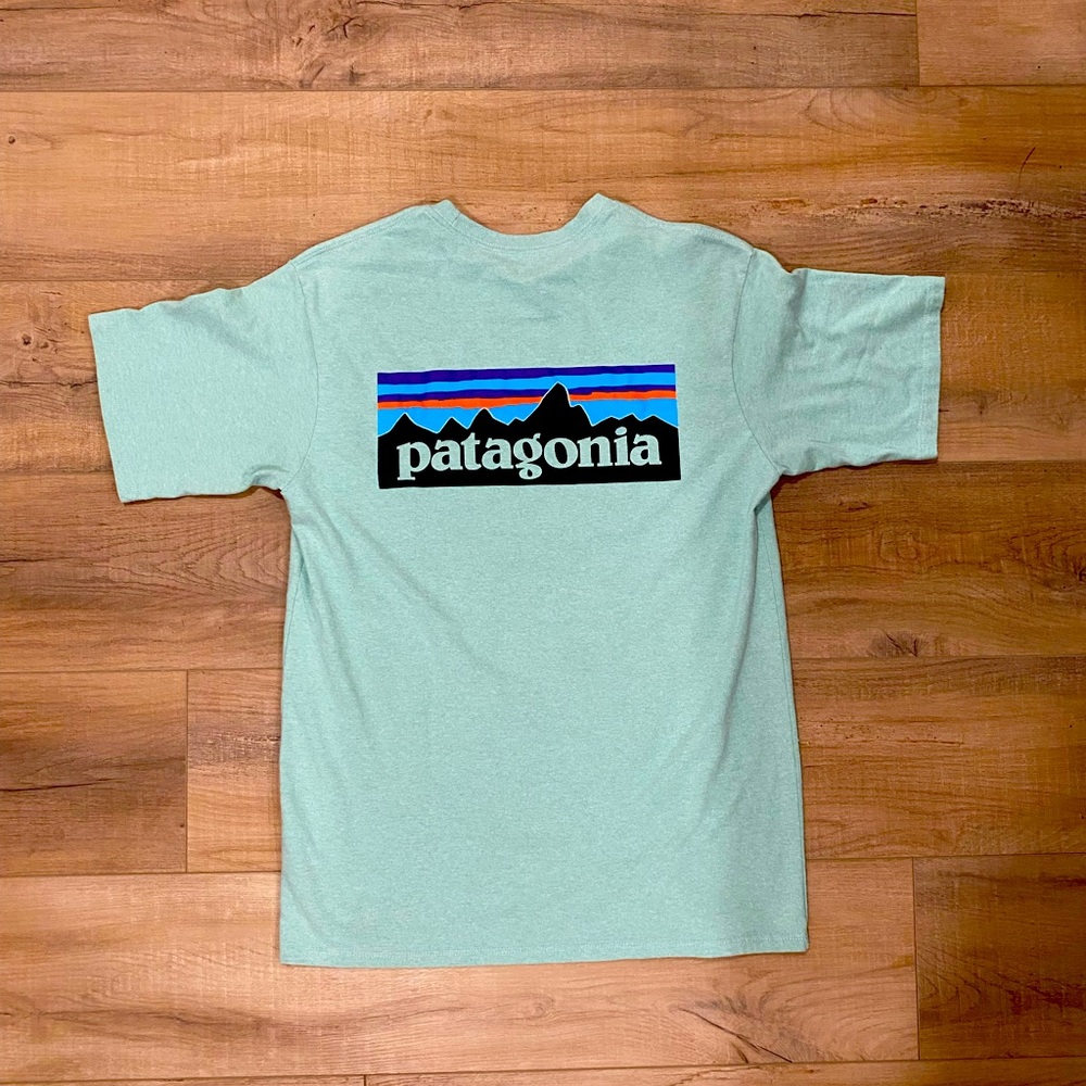 Patagonia Responsibili-Tee T-shirt